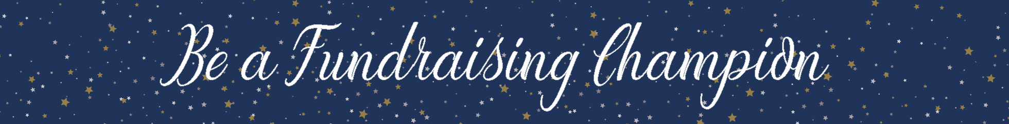Fundraising Champion Banner