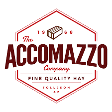 Accomazzo Company.png