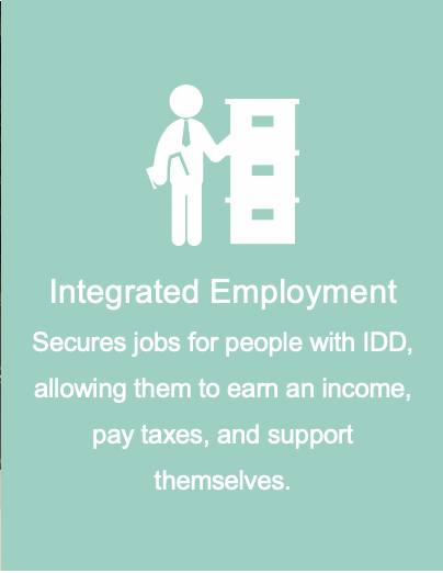 Employment Description