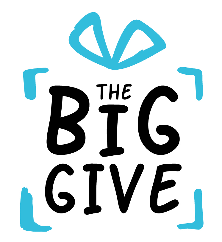 Big Give Plain Graphic