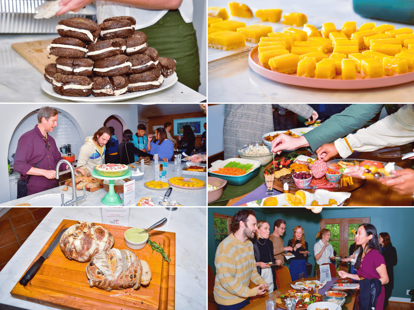 BO4B BG (1600 x 1200 px).png