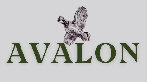 Avalon.jpg