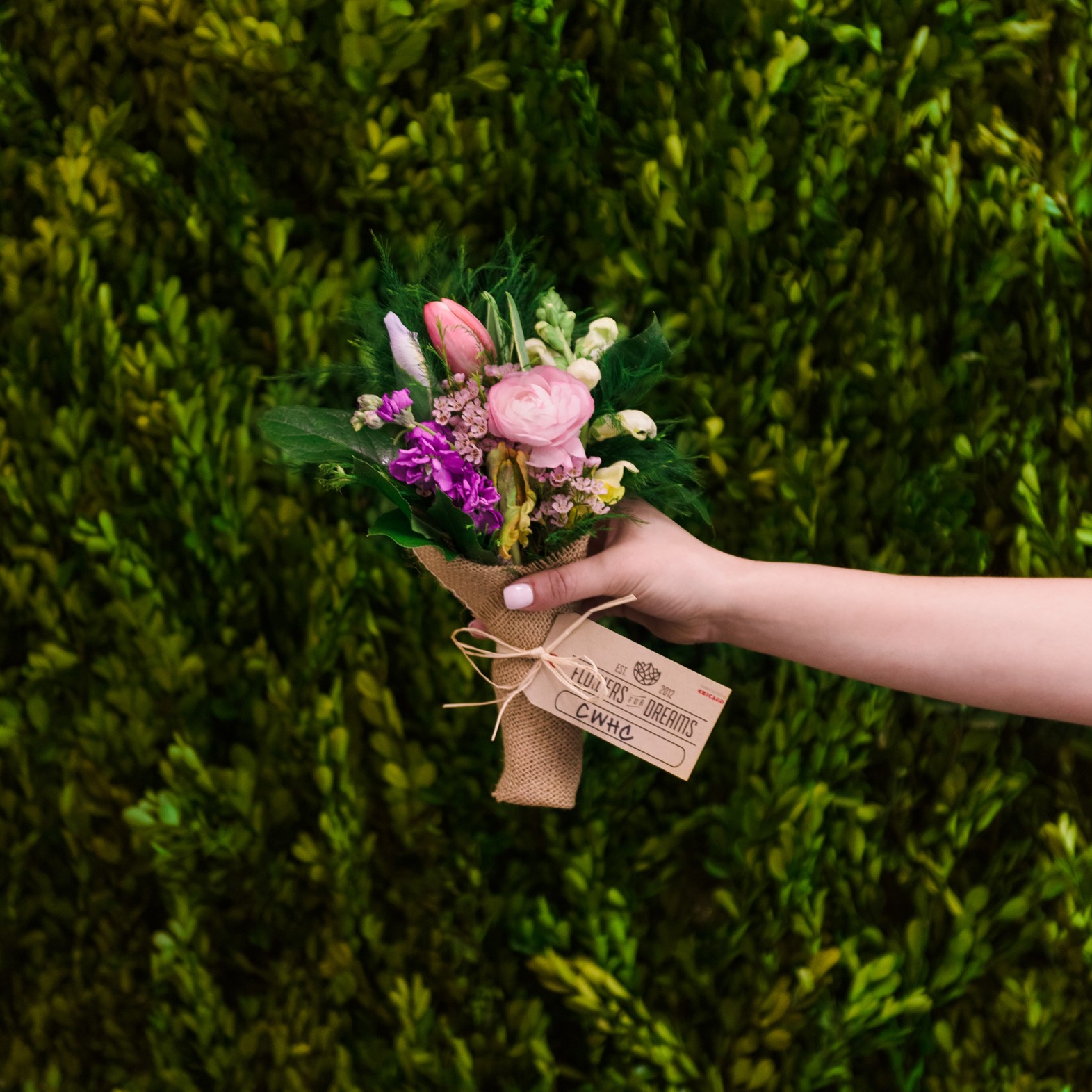 flowers for dreams.jpg