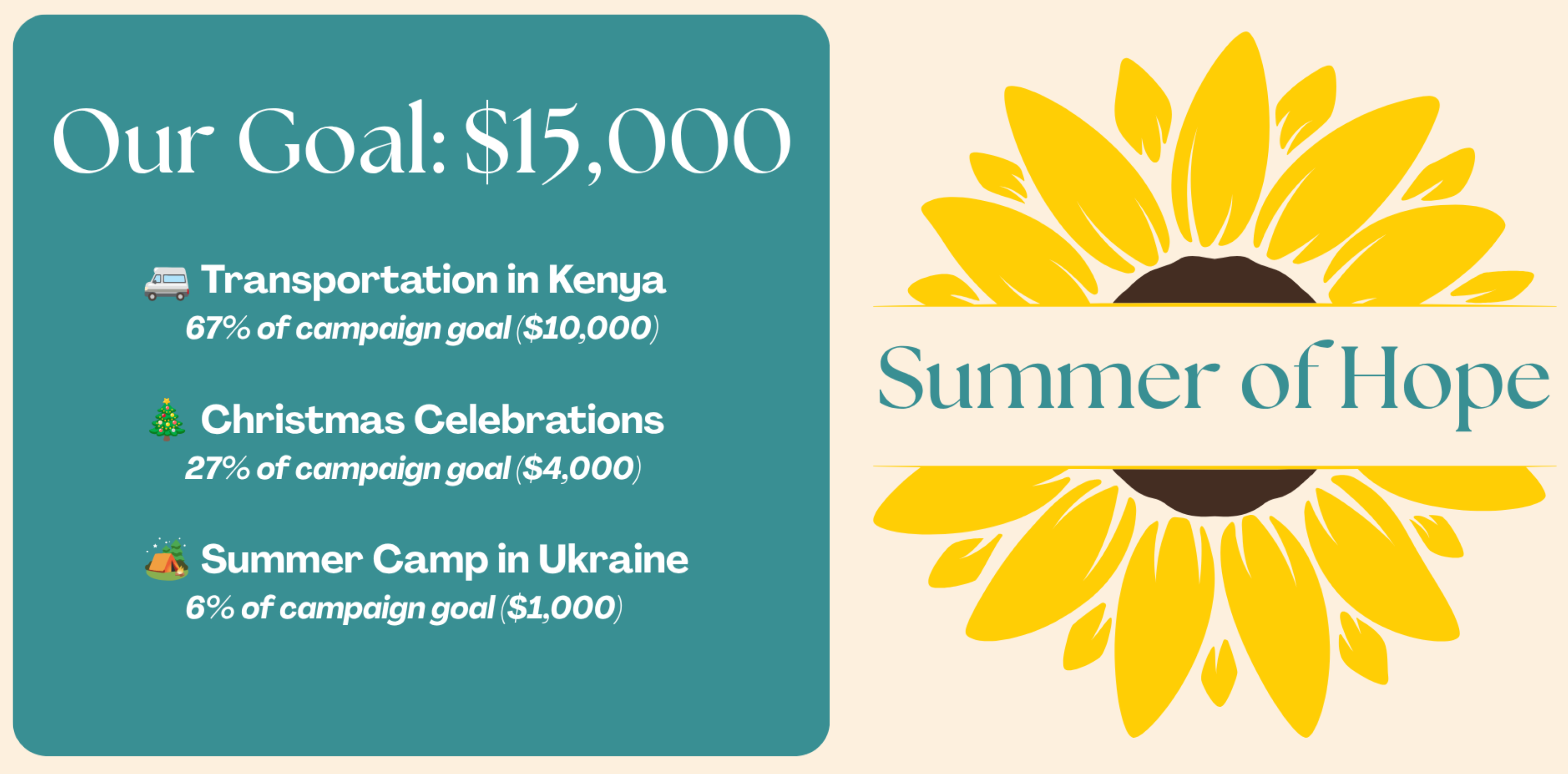 Summer of Hope (Website) Goal.png