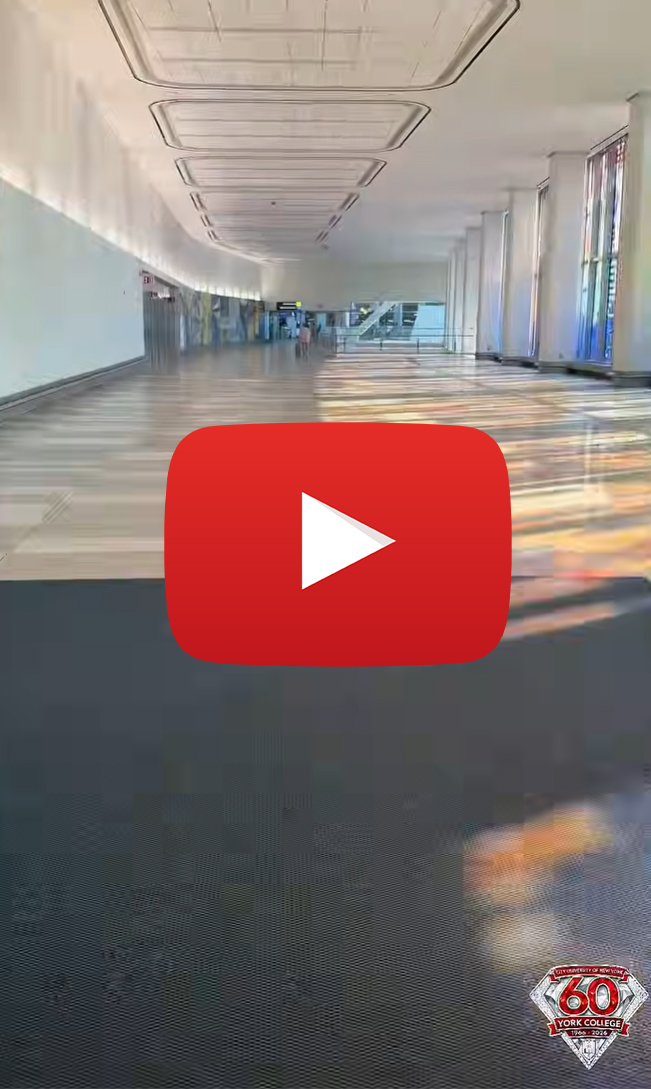 Vid.jpg