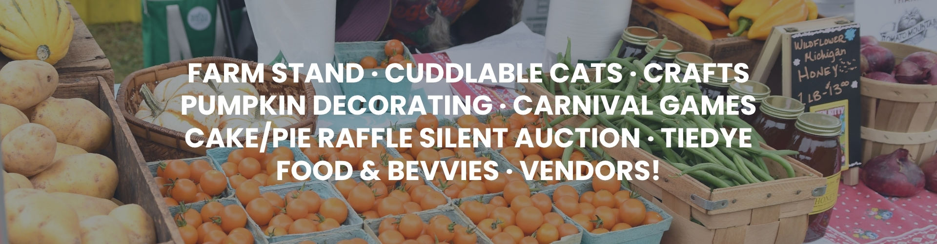 TCB Givesmart header (1).jpg