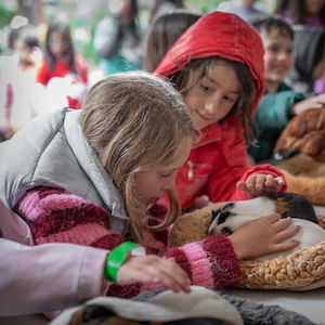 Girls petting rabbits