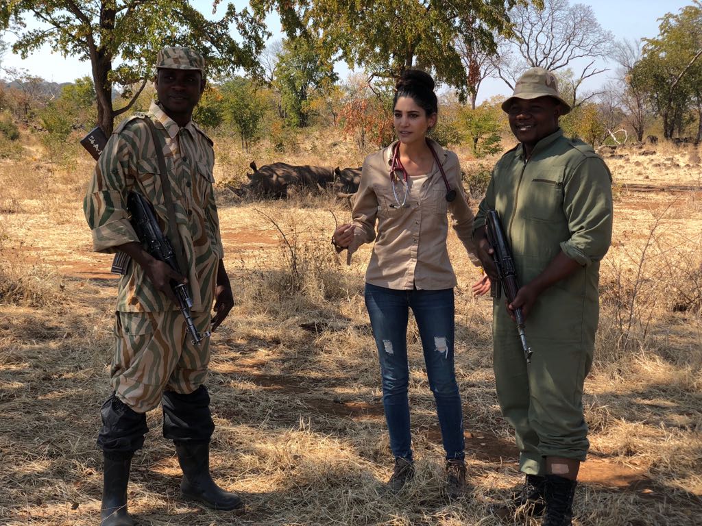 White rhino rewilding