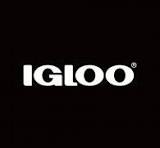 igloo logo.jpeg