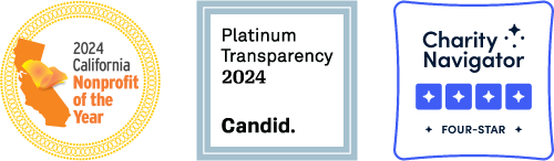 NPY & Transparency Seals