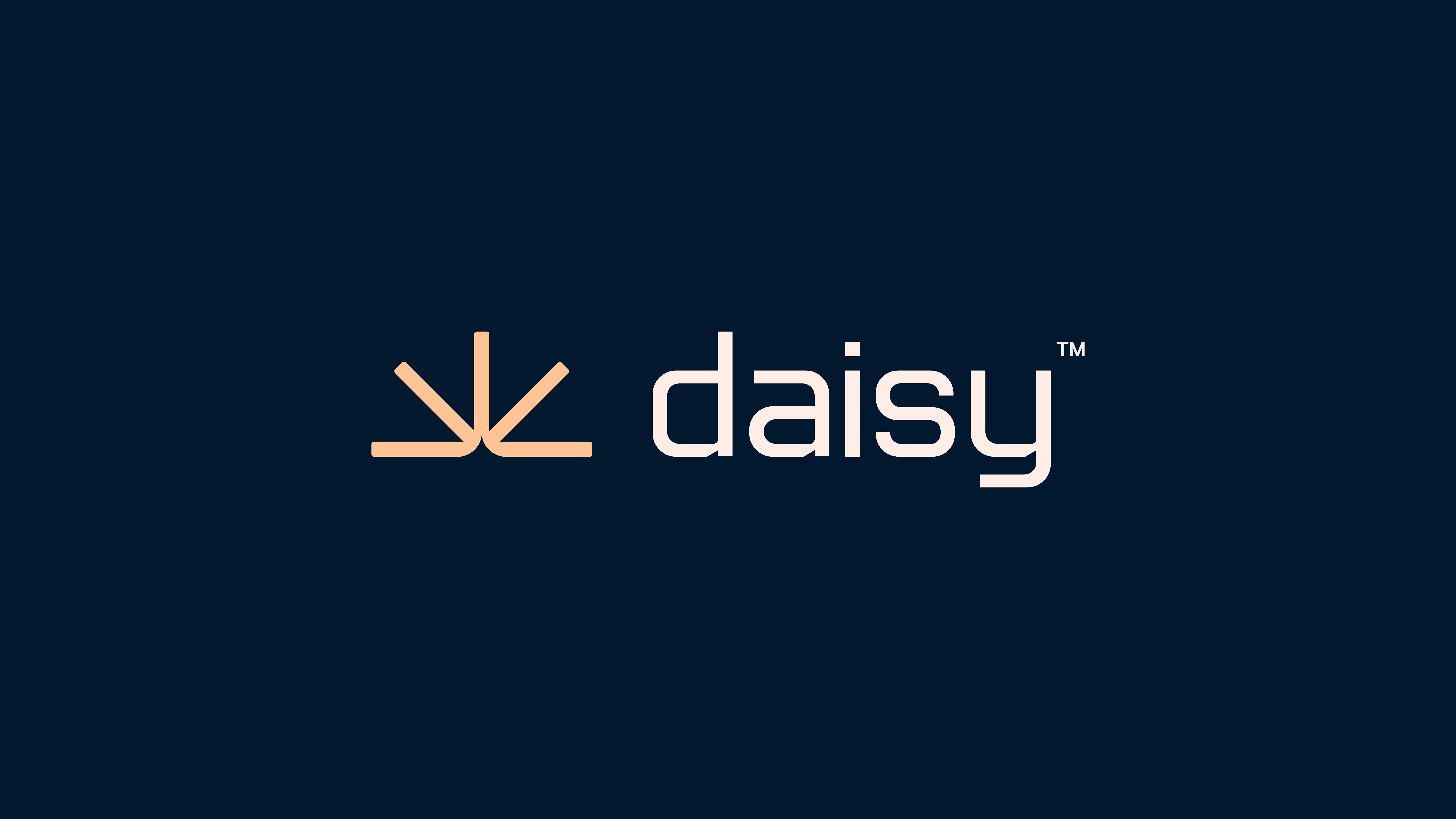 daisy_full_sunrise + warm connection.jpg