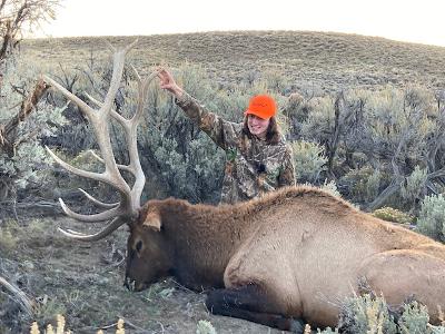 Sawyers elk 2