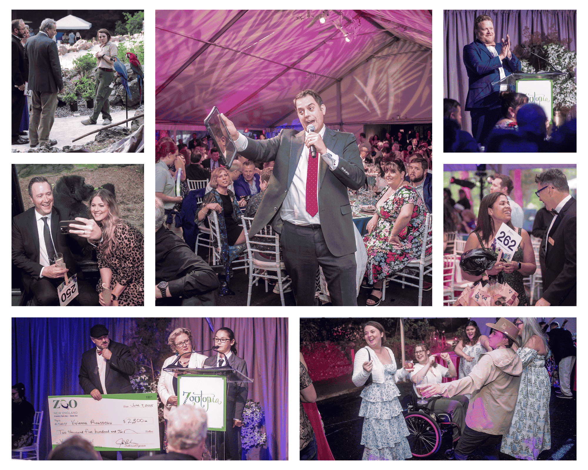 White and Beige Clean Aesthetic Photo Collage (1) (1) (1) (1) (1) (1).png