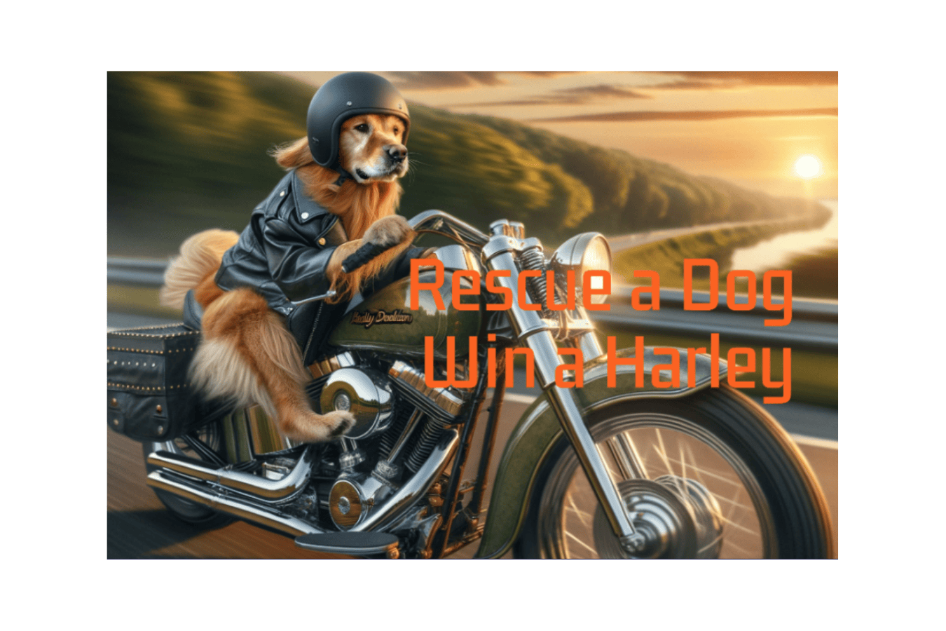 Lifesaving 2024 Harley-Davidson Raffle