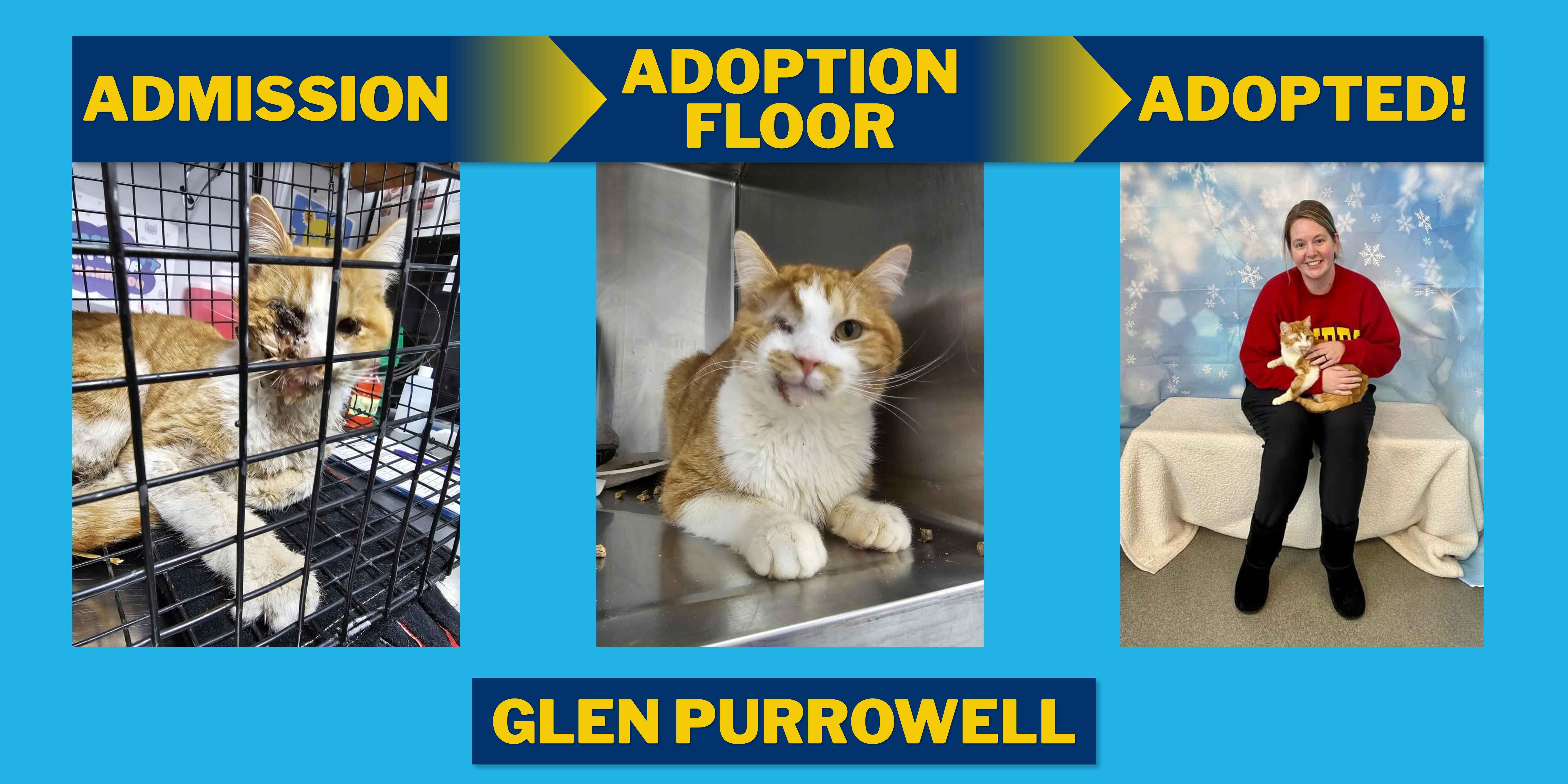 Shelter Journeys.jpg