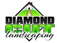 Diamond-Cut.jpg