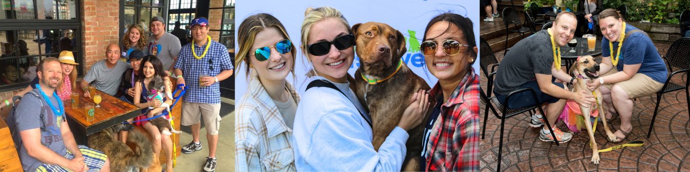 Pup Crawl 2023 givesmart banner (5).png