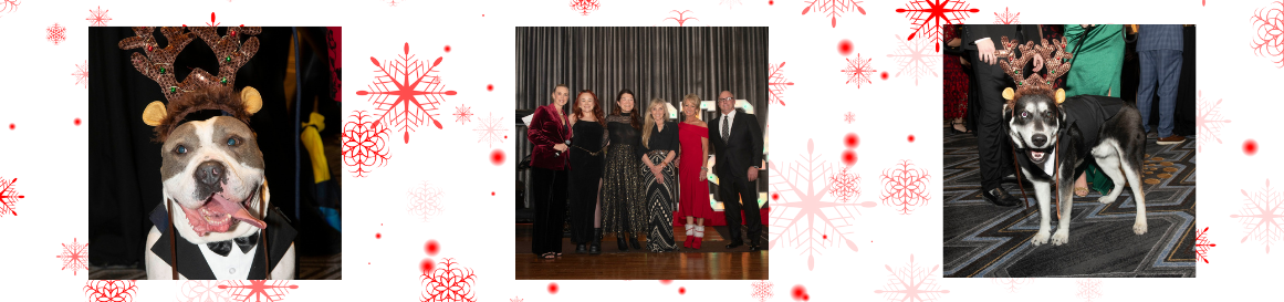 Gala2025Photos.png