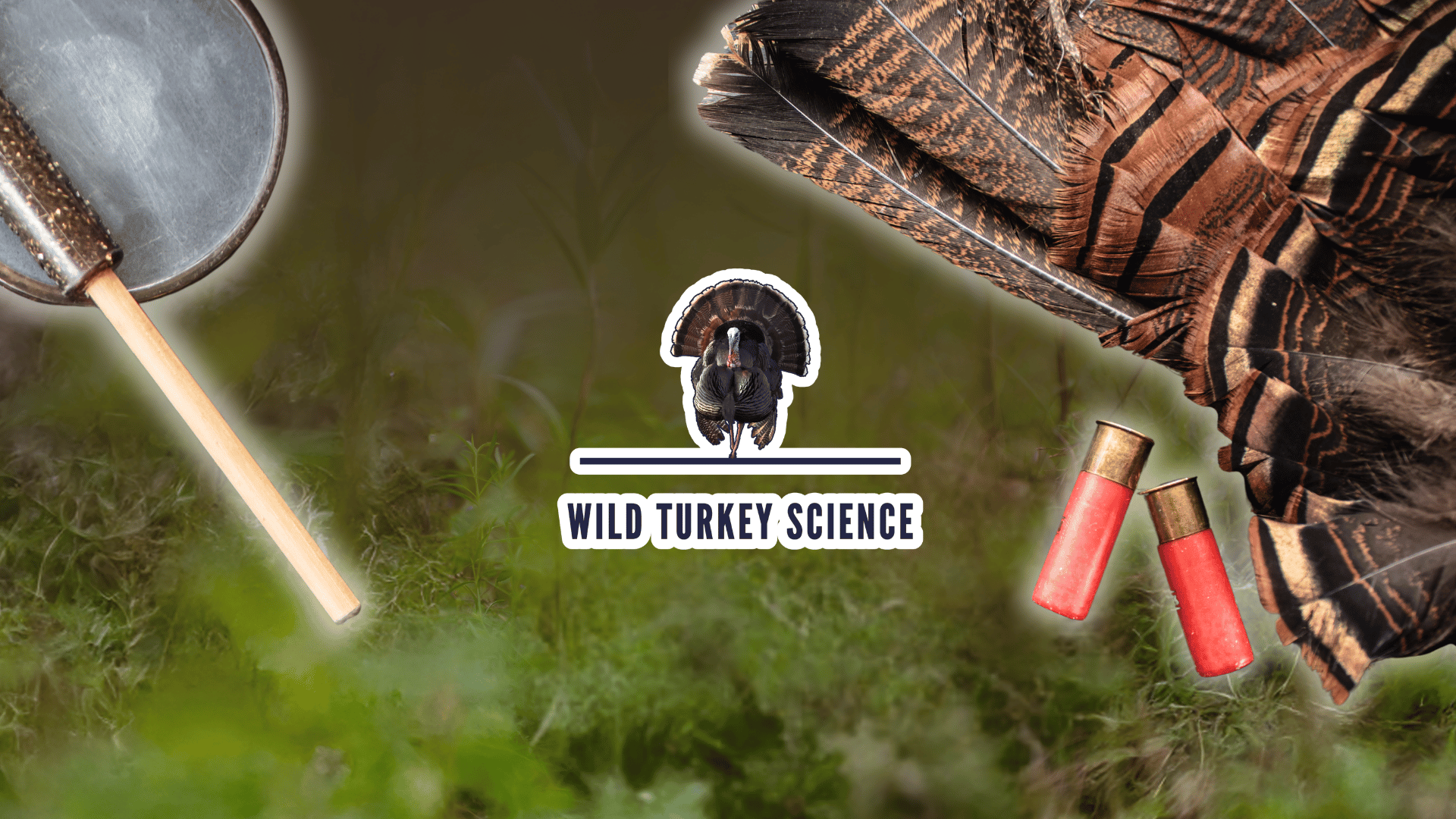 Untitled design (15).png A lush green backgroung with a wild turkey tail fan and shotgun shells on the right, a turkey pot call on the left and the wild turkey science podcast logo in the middle.