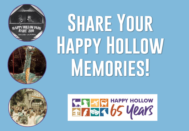 65th anniversary - share your memories.png