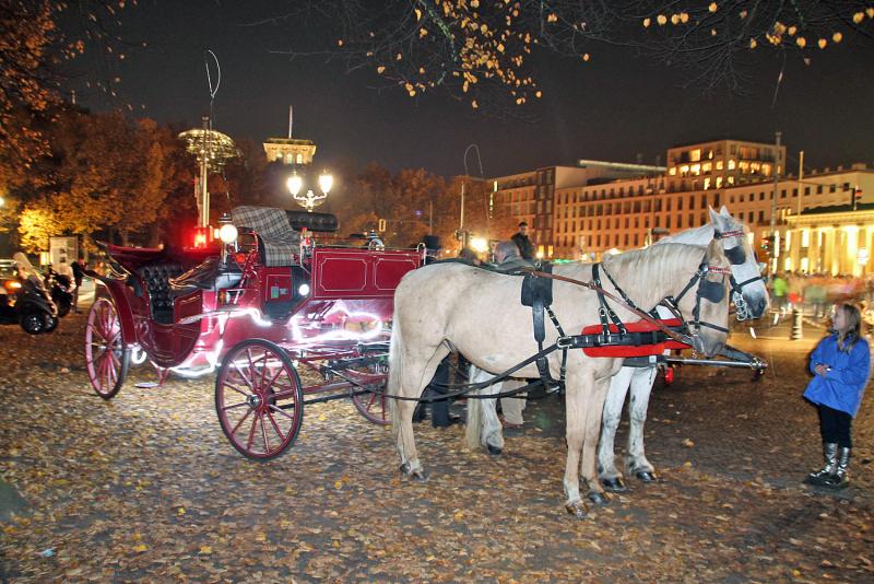horse-carriage-night-tour