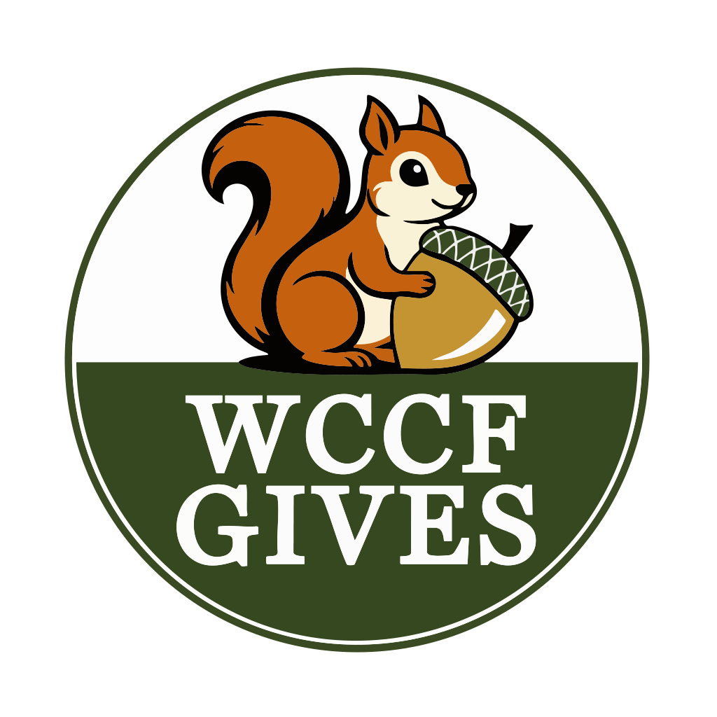 Official Logo