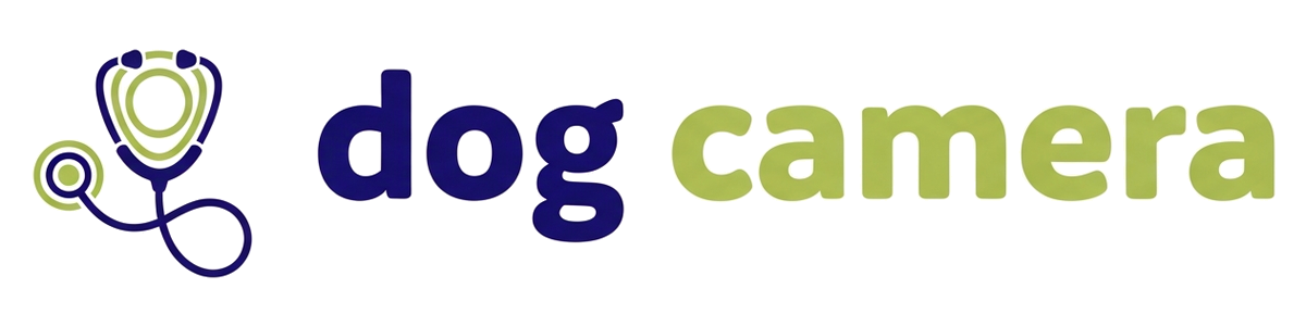Dog Camera