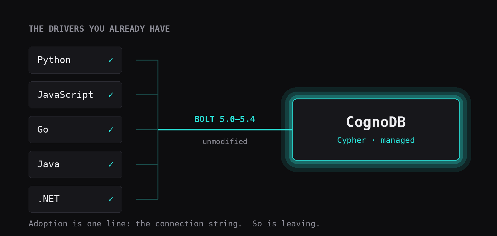 Python, JavaScript, Go, Java and .NET drivers connecting to CognoDB over Bolt, unmodified