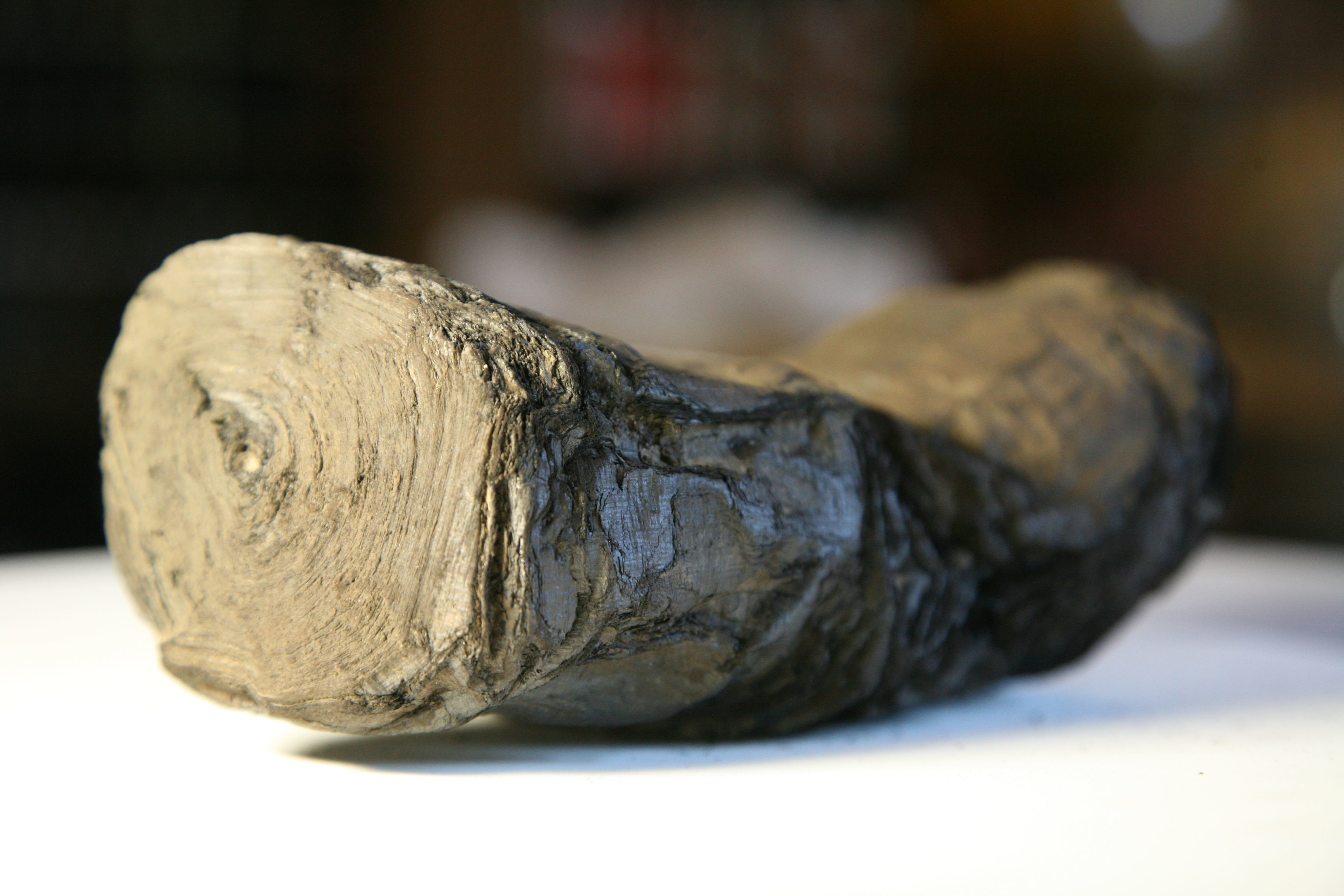 Ancient roman scrolls meet 21st century technology in bid to unlock secrets