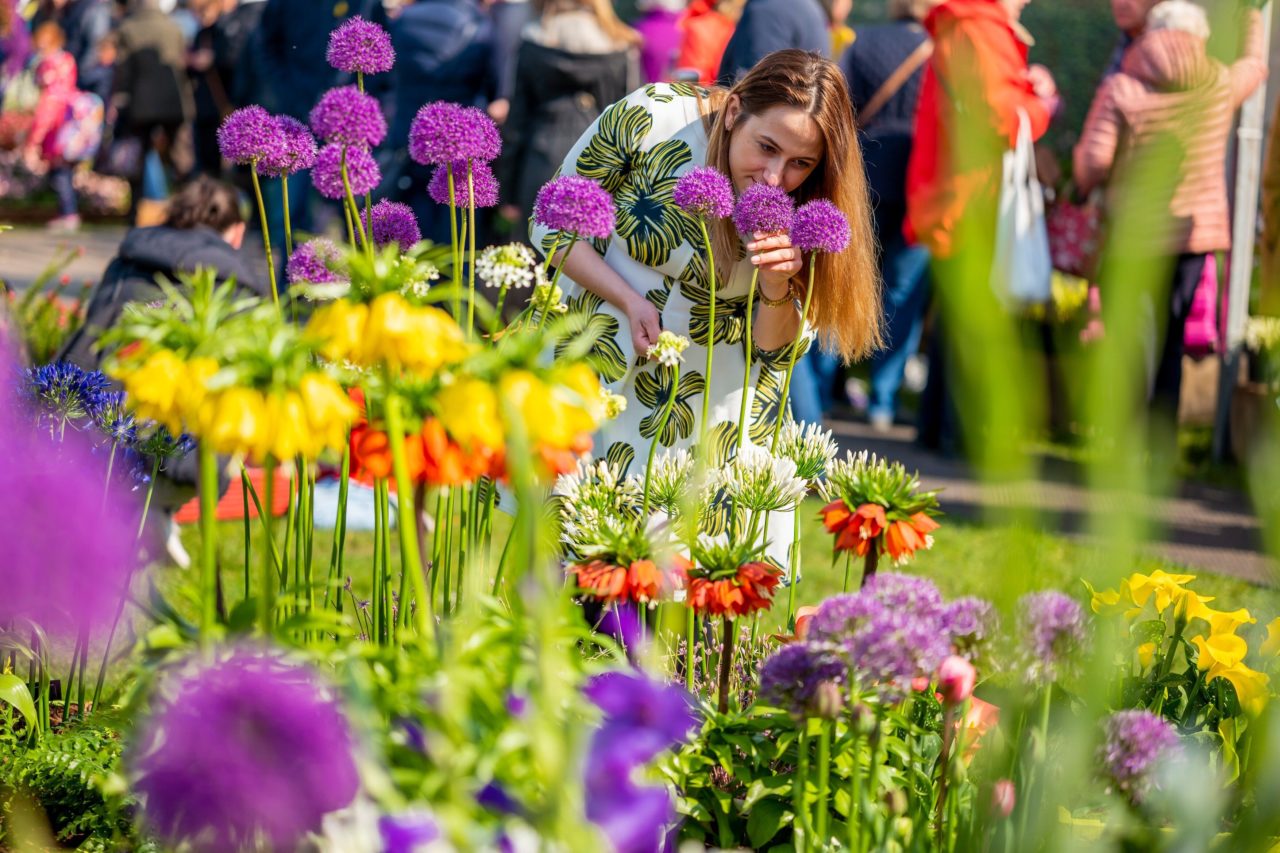These are the best garden shows and festivals to visit in 2020