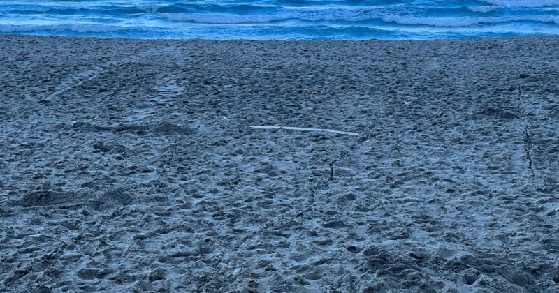 Amid diplomatic fallout after Eastern beach incident, stark differences but caution too against treaty backdrop - Vimarsana News