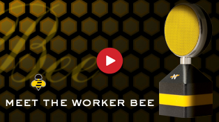 Meet The Worker Bee