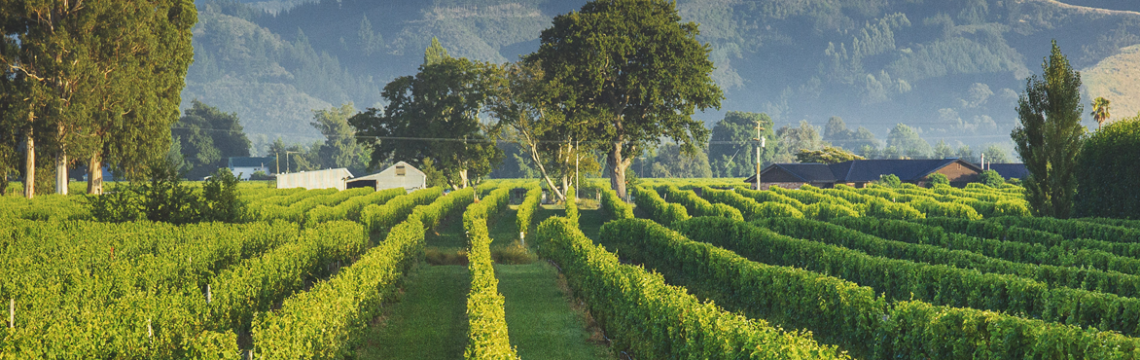 Stump Creek Vineyard image