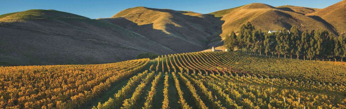 Clayvin Vineyard image