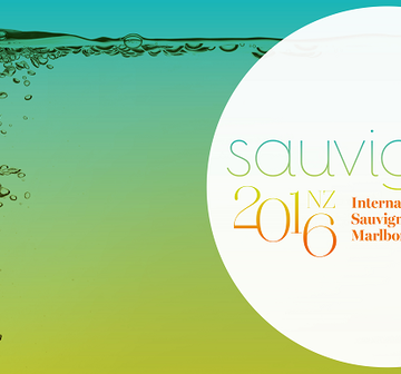 Sauv Blanc Day image