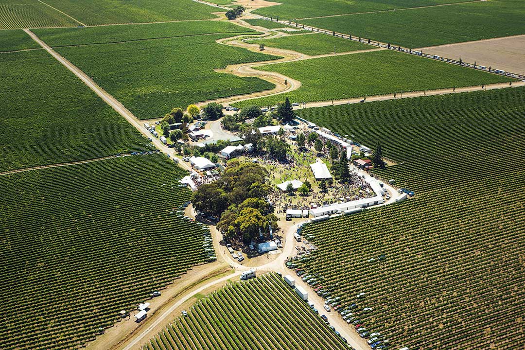 Marlborough Wine and Food Festival