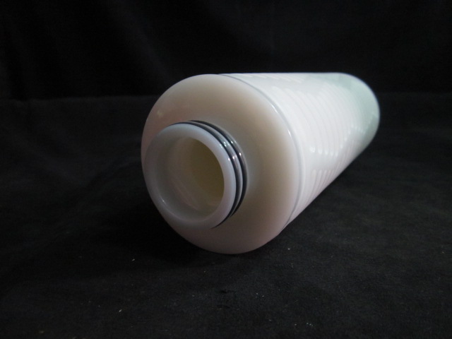 Filter  DI Water 0.02um 10 in  ENTEGRIS S4416M117Y06 