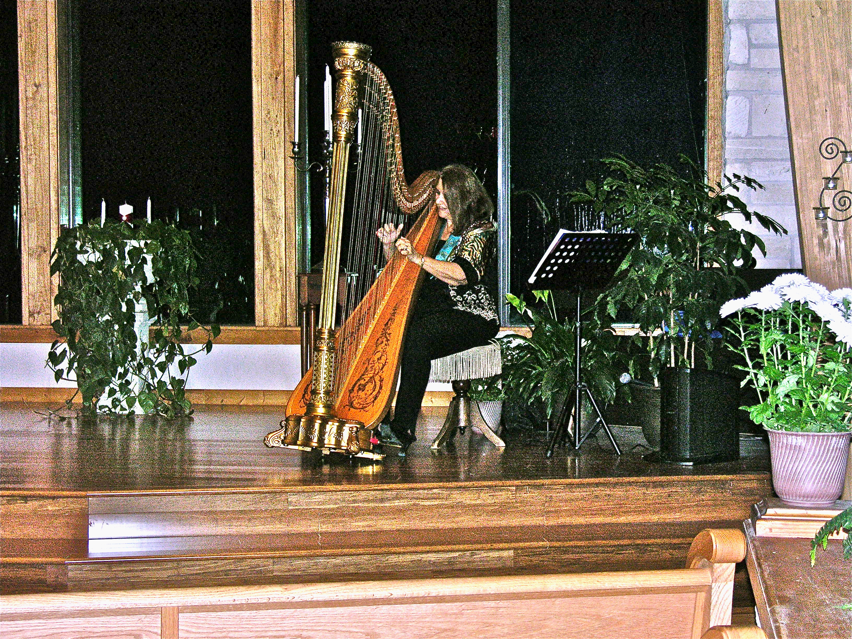Hire Harpist Margaret Atkinson Harpist in Dallas, Texas