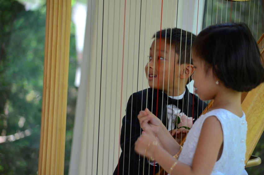 Hire Harpist Margaret Atkinson Harpist in Dallas, Texas