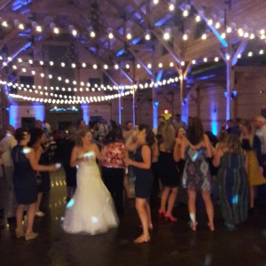 Hire Amplified Digital Entertainment Wedding Dj In Dayton Ohio