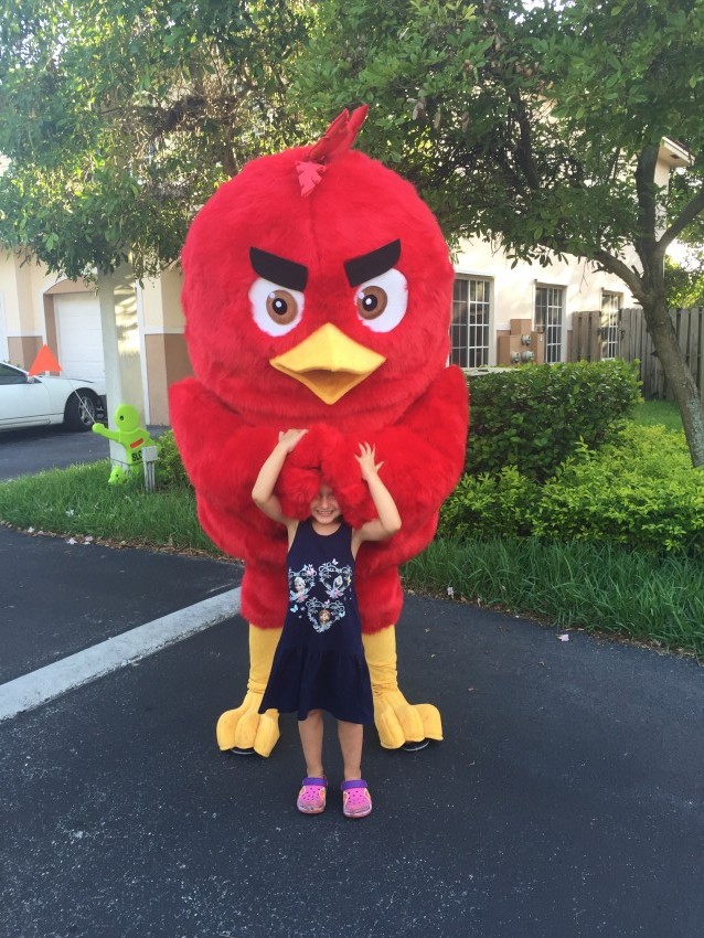 Hire Angry Bird mascotte Costumed Character in Hallandale Beach, Florida