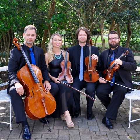 Hire Arco Music String Trio In Lafayette Louisiana hire arco music string trio in