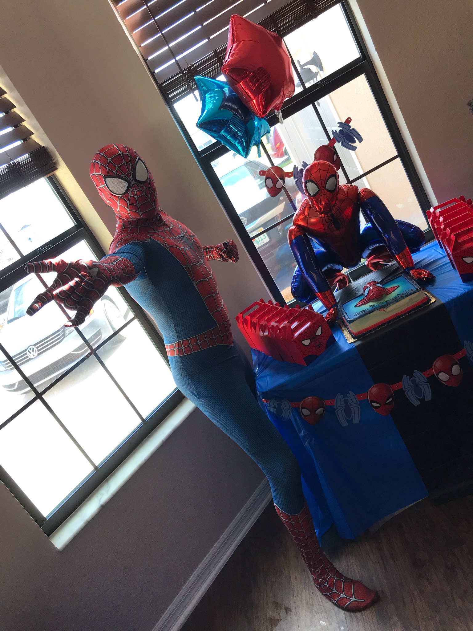 Hire Superhero Superhero Party in Orlando, Florida