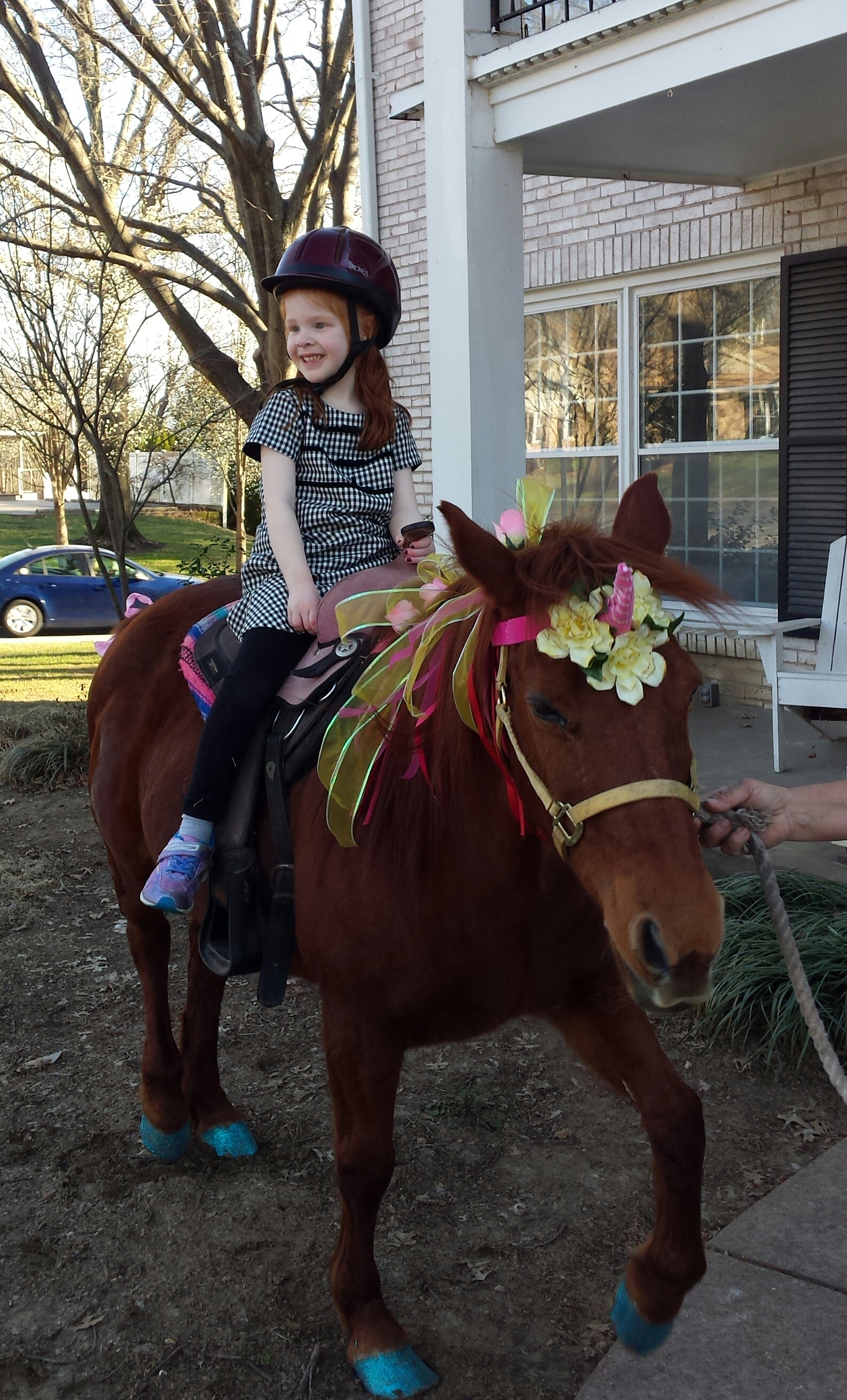 Hire Meadow Crest Farm Pony Rides Pony Party in St Louis, Missouri