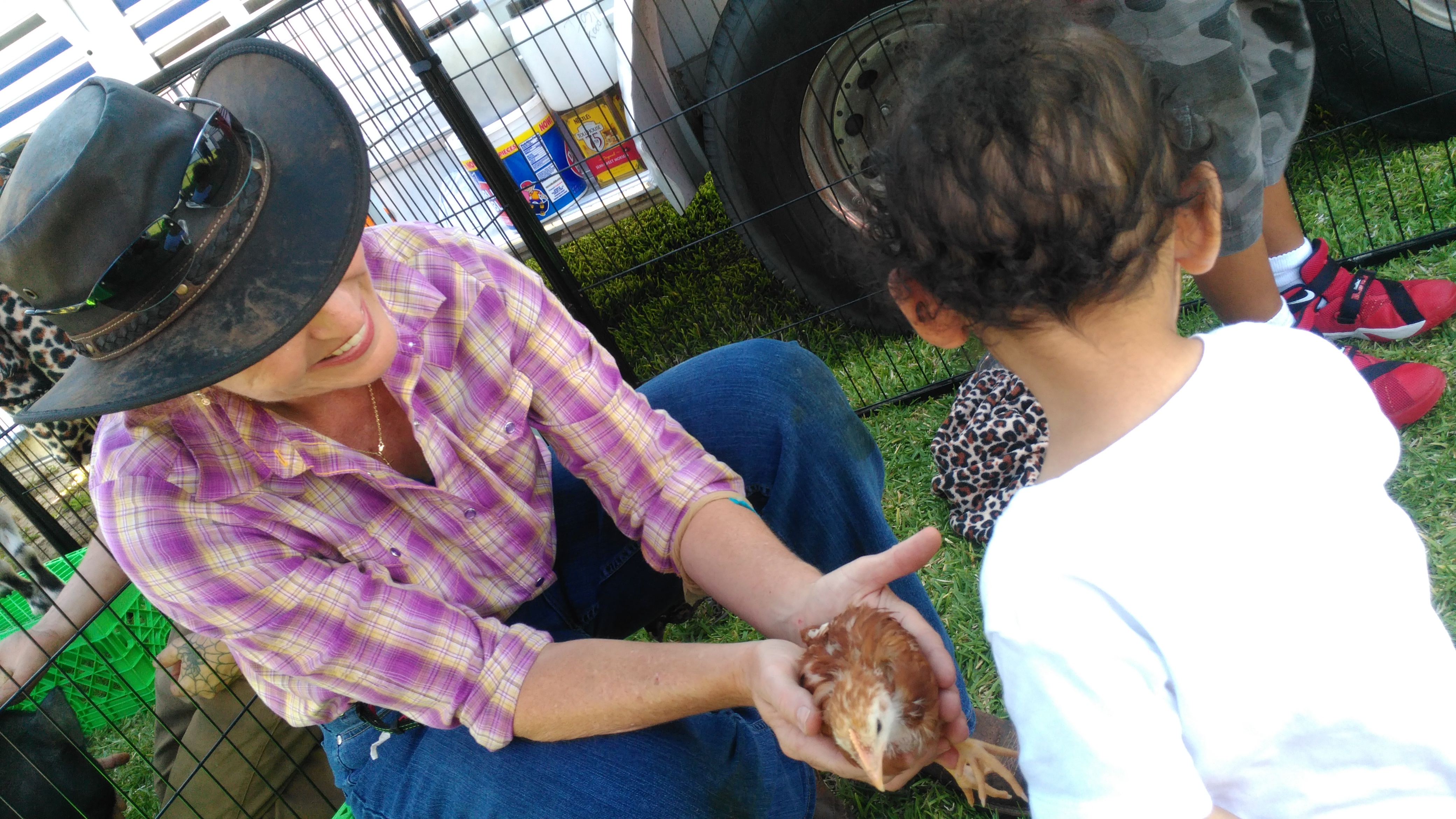 Hire Hunny's Funny Farm Petting Zoo in Vero Beach, Florida