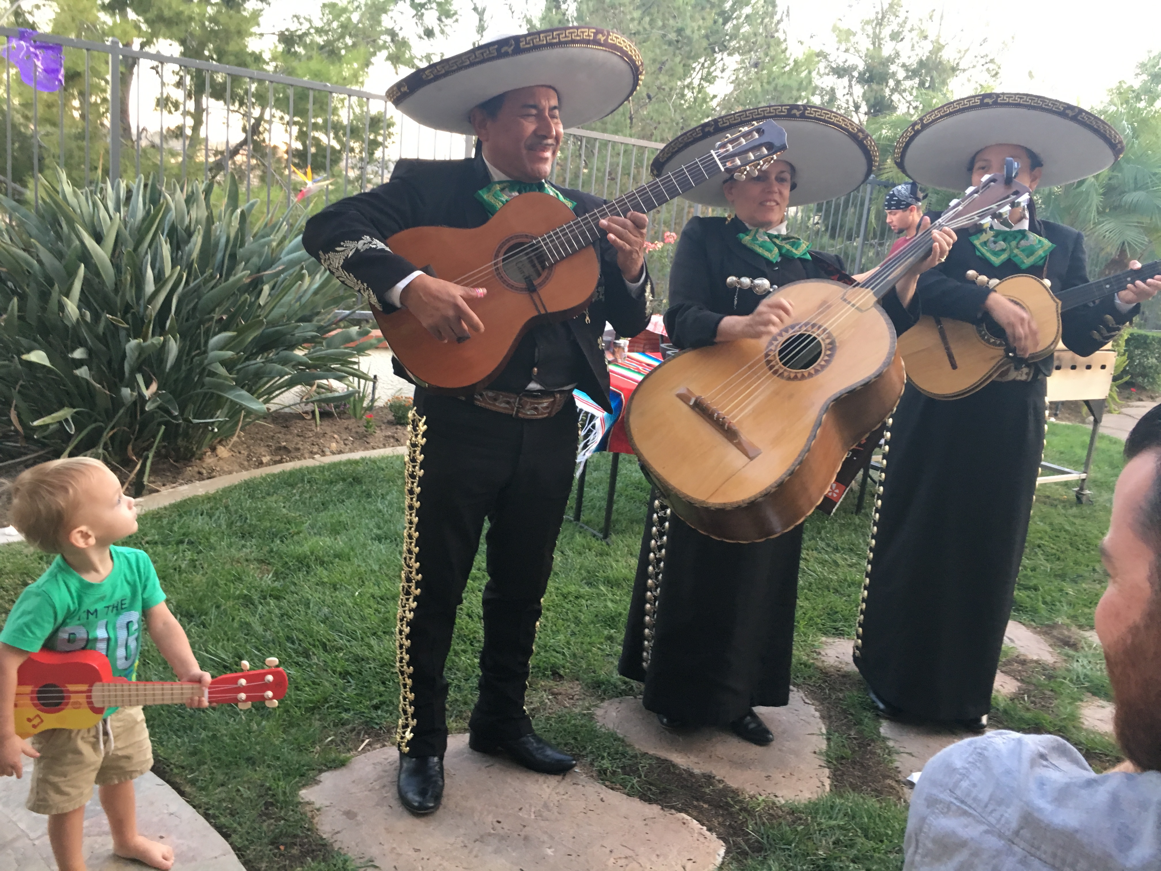 Hire Aurelio Reyes "El Gallo de Chiapas" y su Mariachi Mariachi Band
