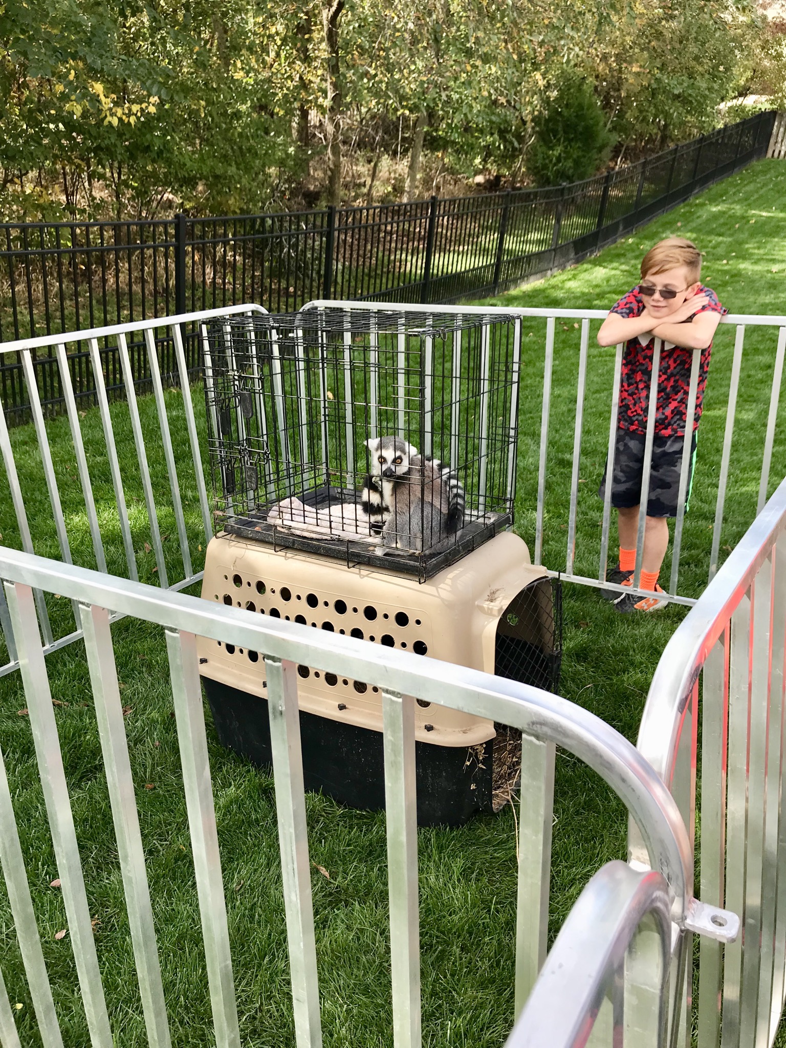 Hire Thorni Ridge Exotics Petting Zoo Petting Zoo in