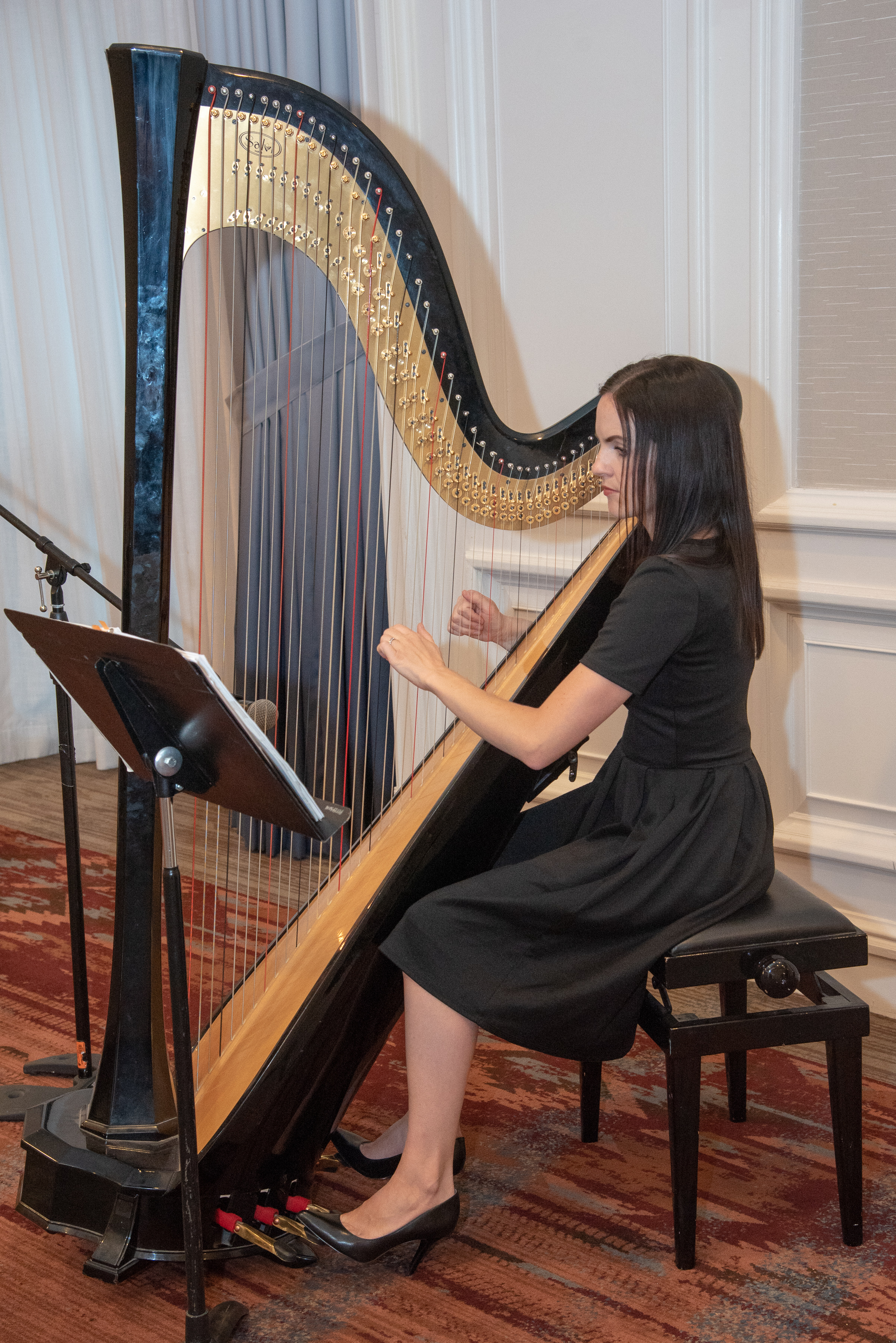 Hire Kathryn the Harpist Harpist in Gilbert, Arizona