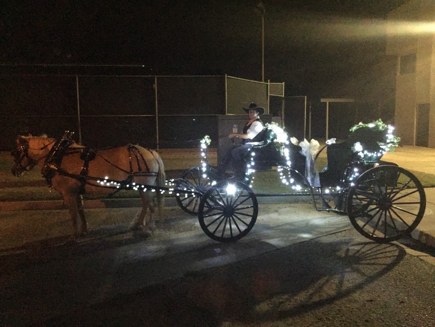 Hire Boots and Bows Pony Parties Pony Party in Lubbock, Texas