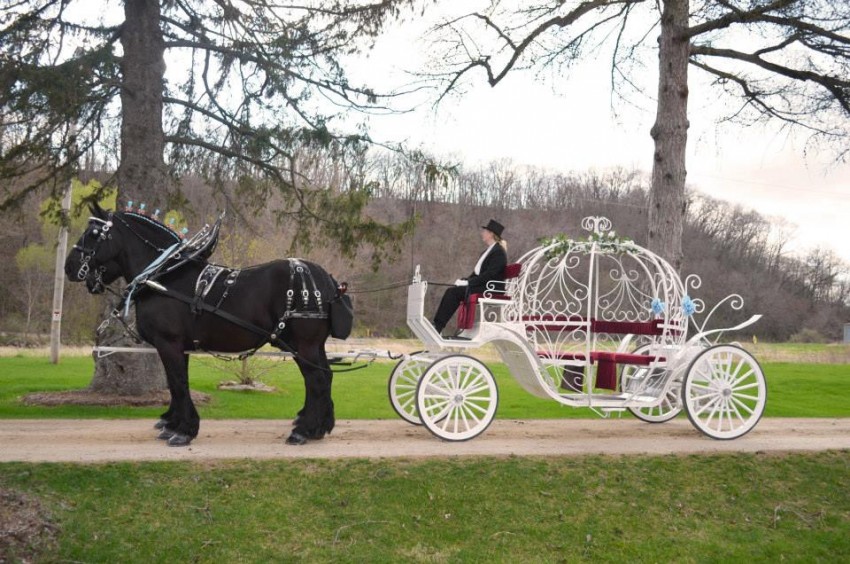 Hire Cinderella Carriage LLC Horse Drawn Carriage in Cashton, Wisconsin